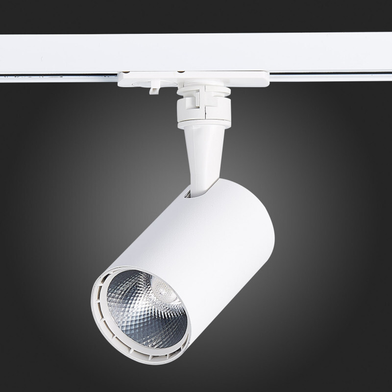 Светильник на шине ST Luce ST351.546.10.24