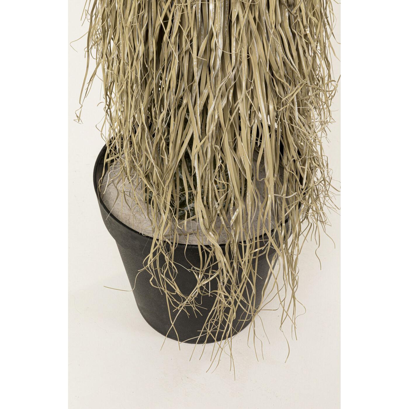 Растение декоративное Yucca Rostrata 240 см KARE 55920