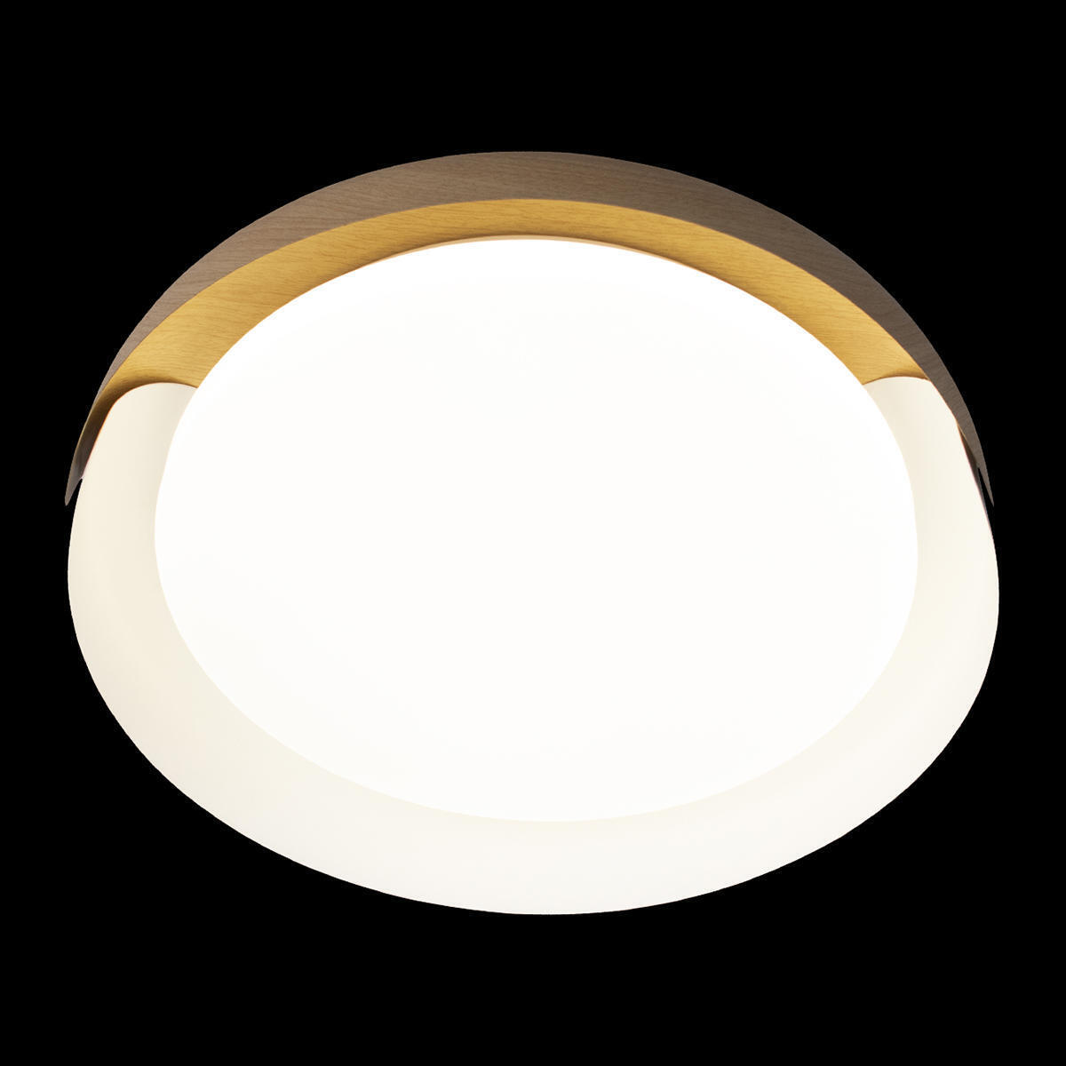 Потолочный светильник LOFT IT Coin 10198 White