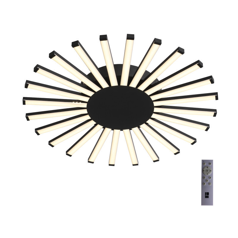 Накладная люстра ST Luce SL839.412.24