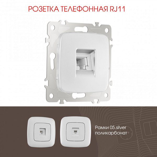 Розетка Arte Milano 205.51-1.silver