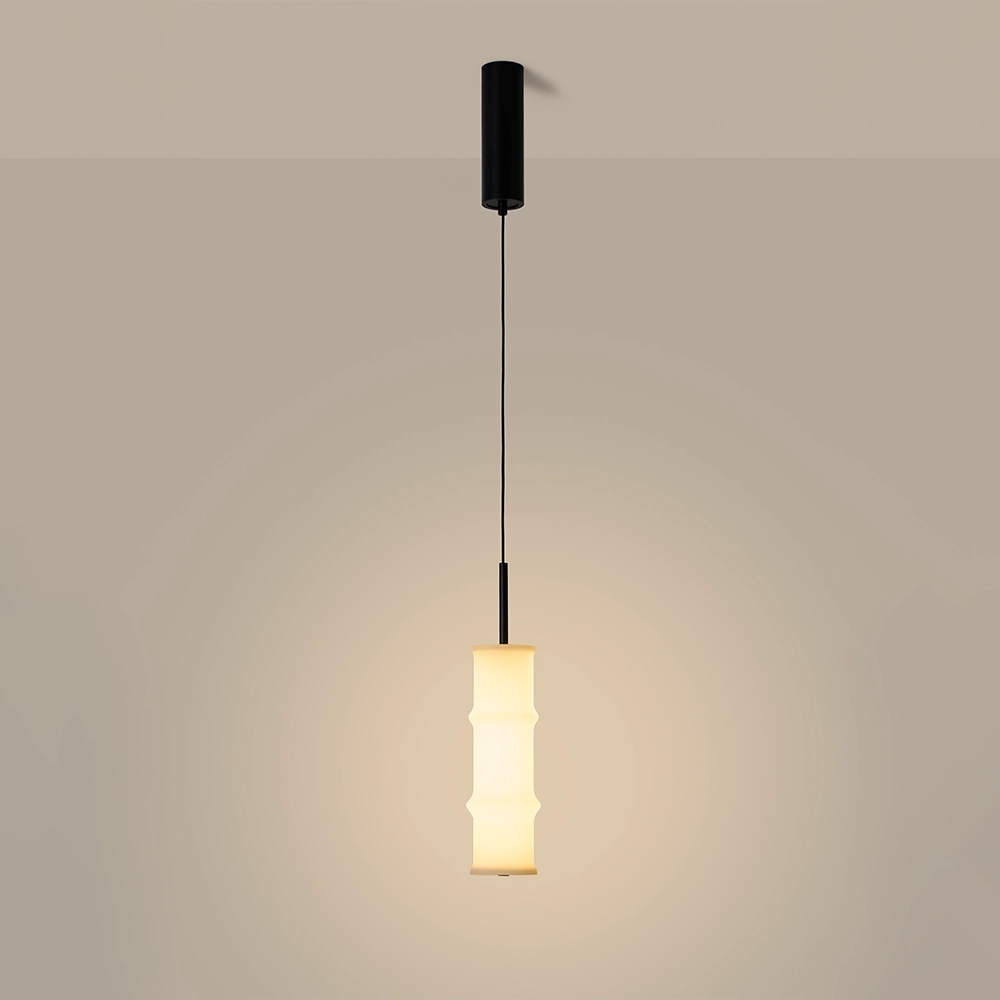 Подвесной светильник Canna C1319/S черный Aromas del Campo