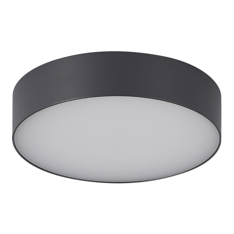 Накладной уличный светильник ST-Luce SL9518.702.01