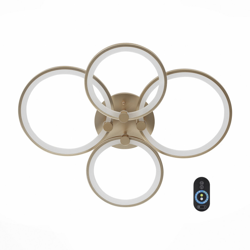 Накладной светильник ST Luce SL867.202.04