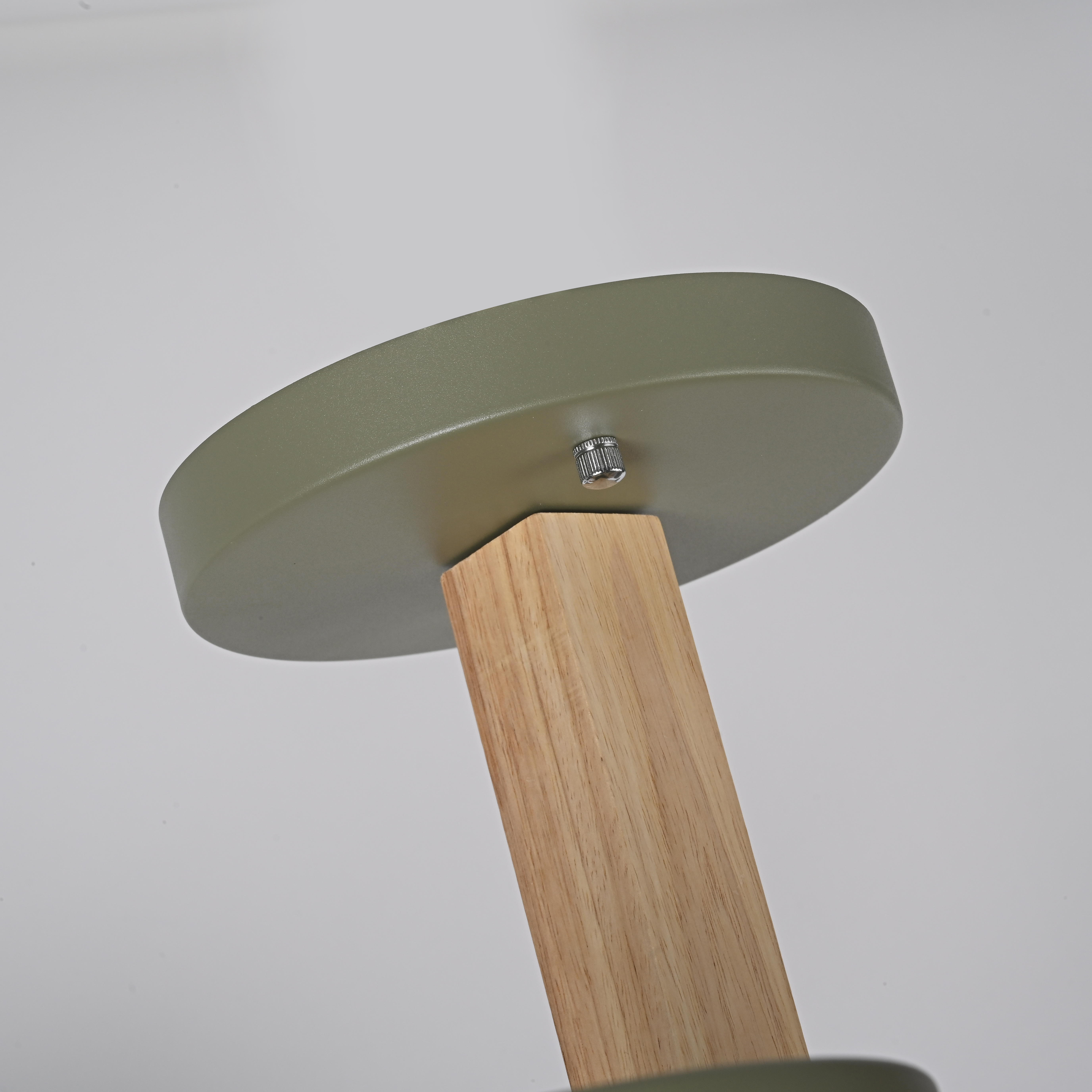 Потолочный светильник TURNA L10 Khaki by ImperiumLoft