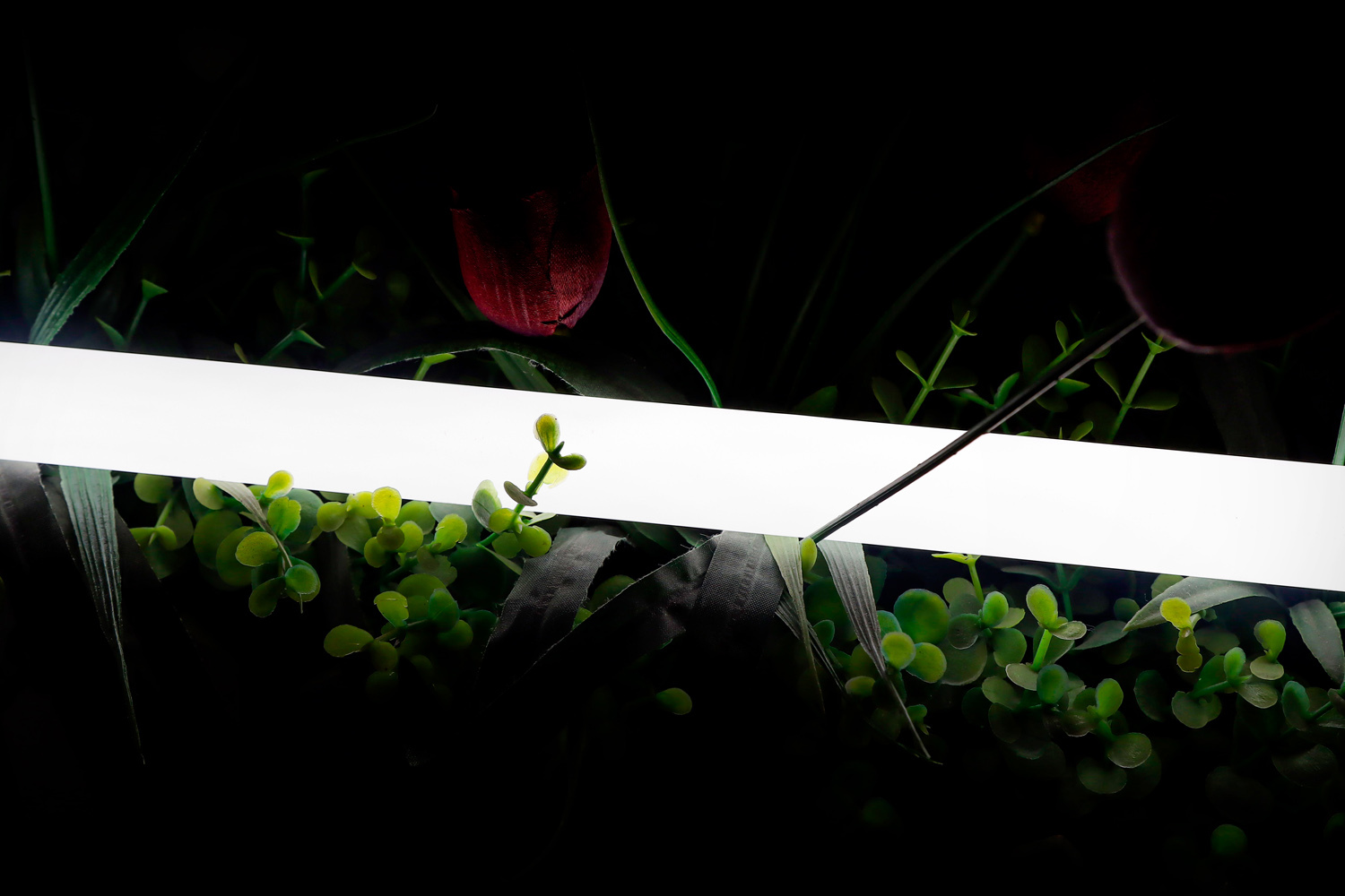 Лента светодиодная неоновая  ° SWG SWG-2360-24-NW-66