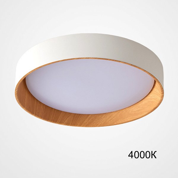 Потолочный светильник WENNY D55 4000К by ImperiumLoft