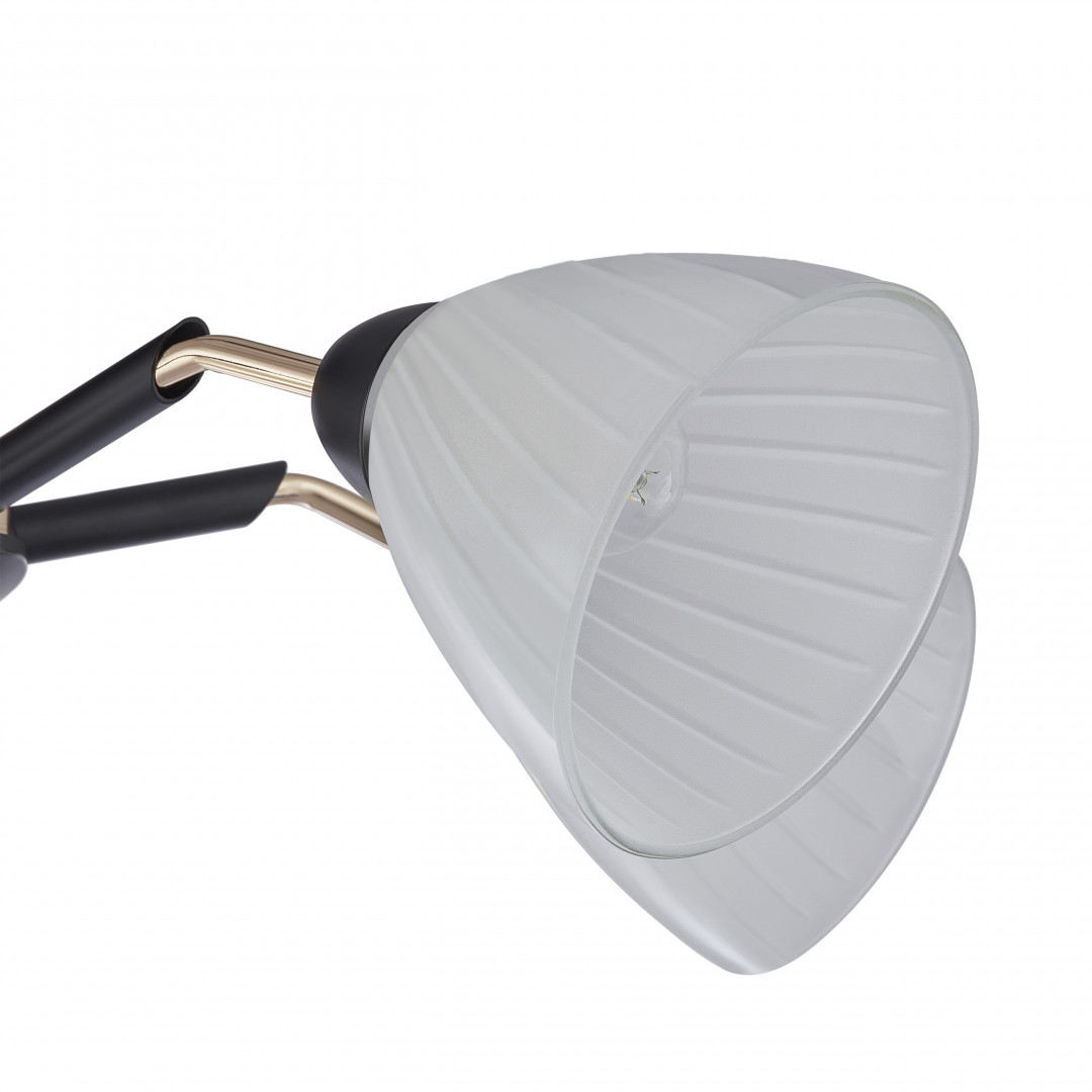 Люстра с плафонами 324108/5 BK+FG Arte Milano