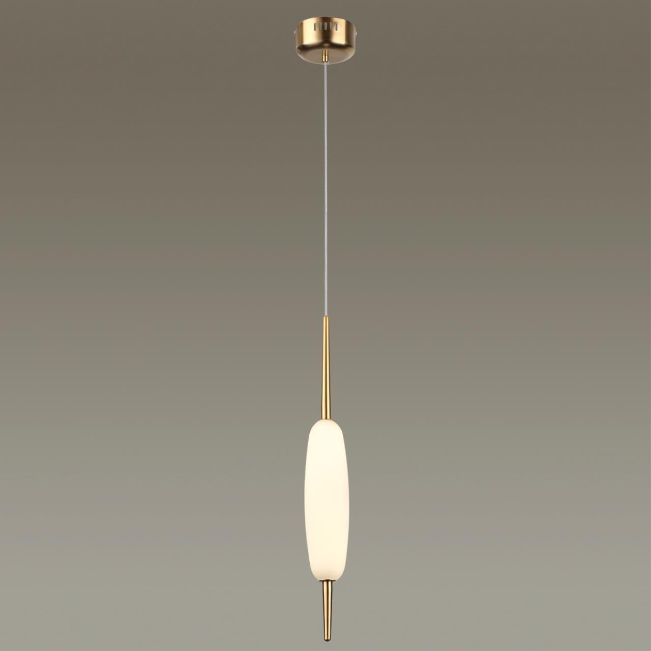 Подвес Odeon Light 4792/12L