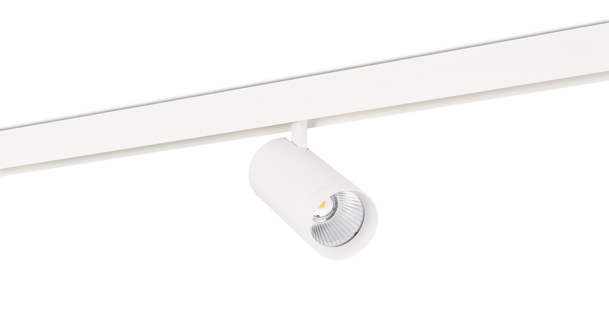 Светодиодный светильник Donolux DL20295WW30W