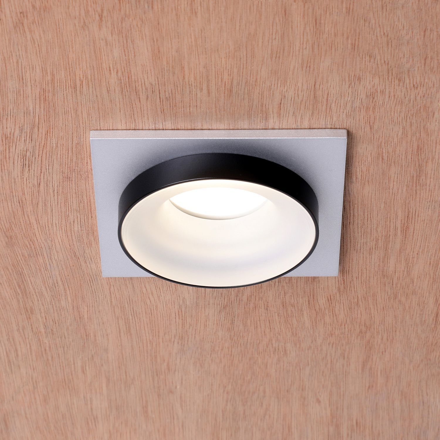 Встраиваемый светильник Favourite 2889-1C