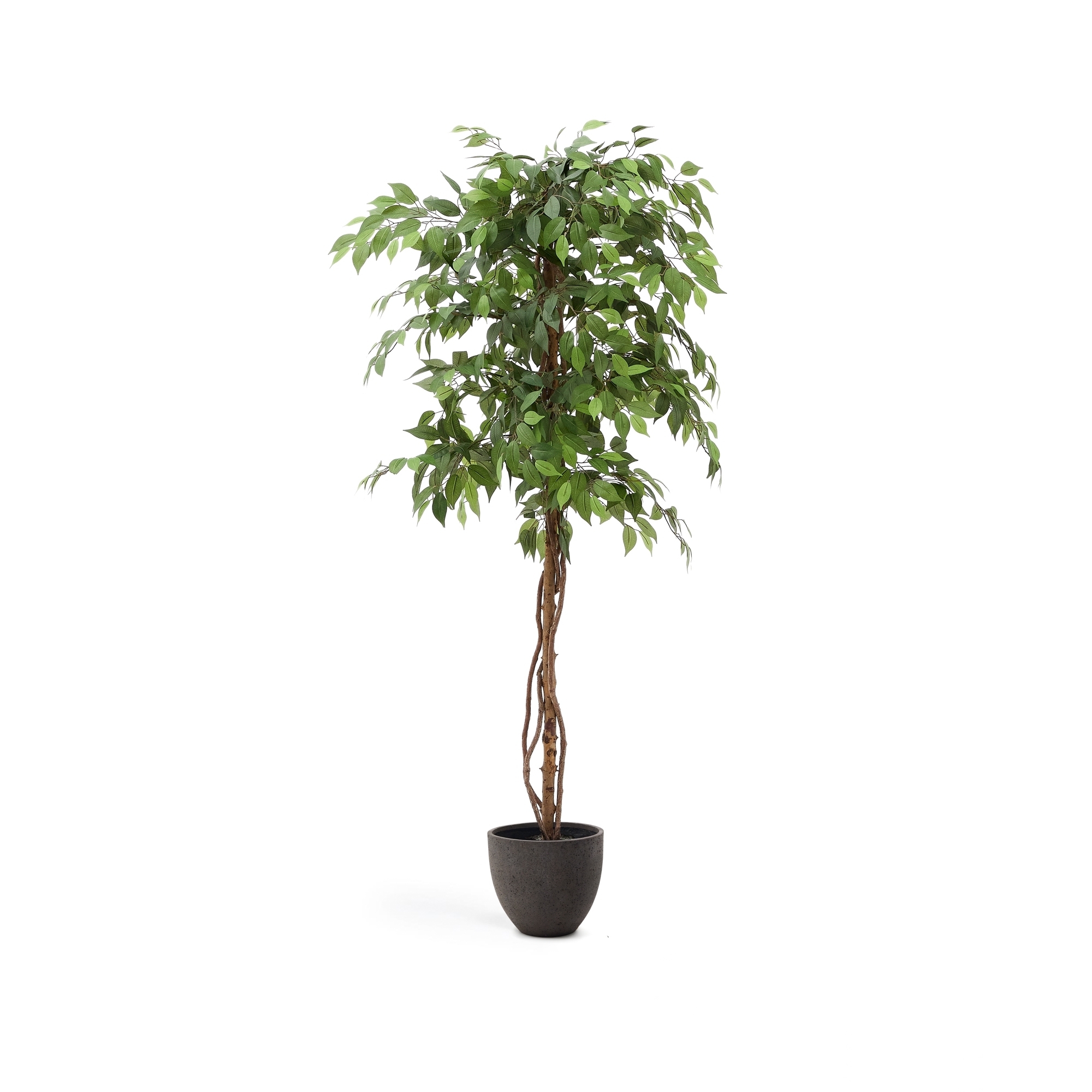 Ficus Искусственное дерево фикус в черном горшке 180 см La Forma (ex Julia Grup)