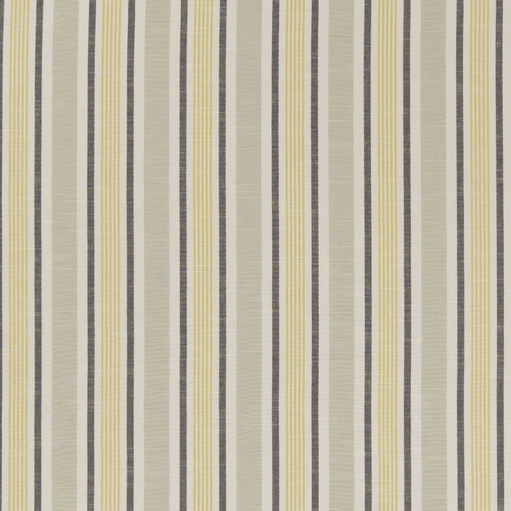 Текстиль Clarke & Clarke Bempton F1310/07