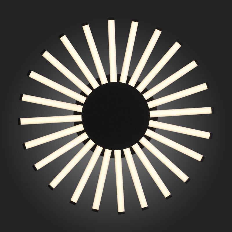 Накладная люстра ST Luce SL839.412.24