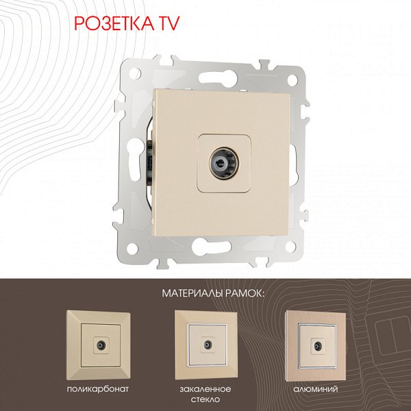 Розетка Arte Milano 203.43-1.shampan