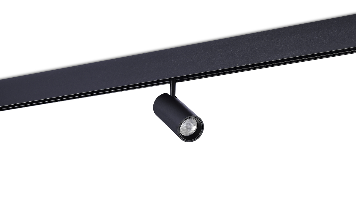 Светодиодный светильник Donolux DL20295WW10BND