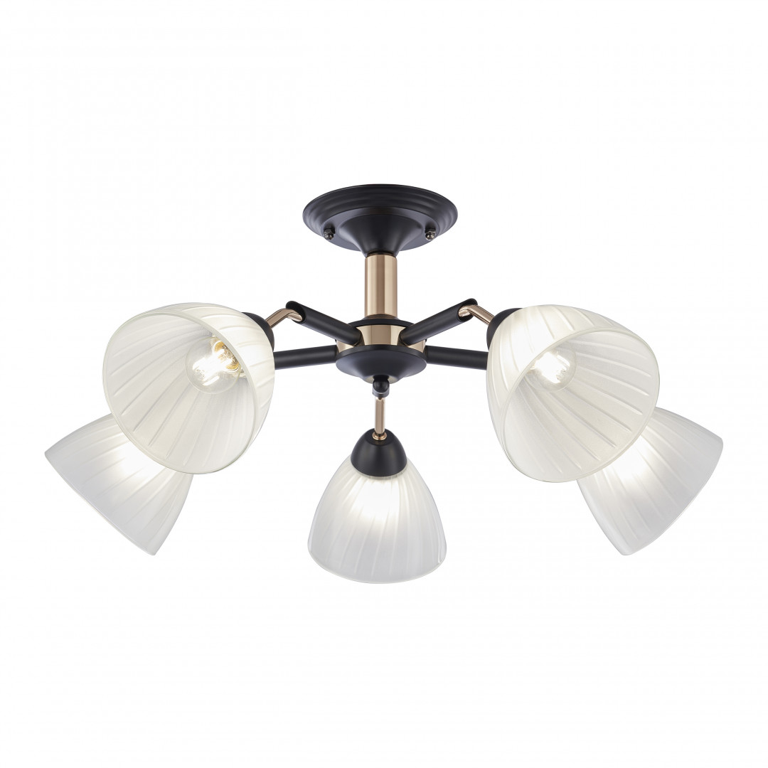 Люстра с плафонами 324108/5 BK+FG Arte Milano