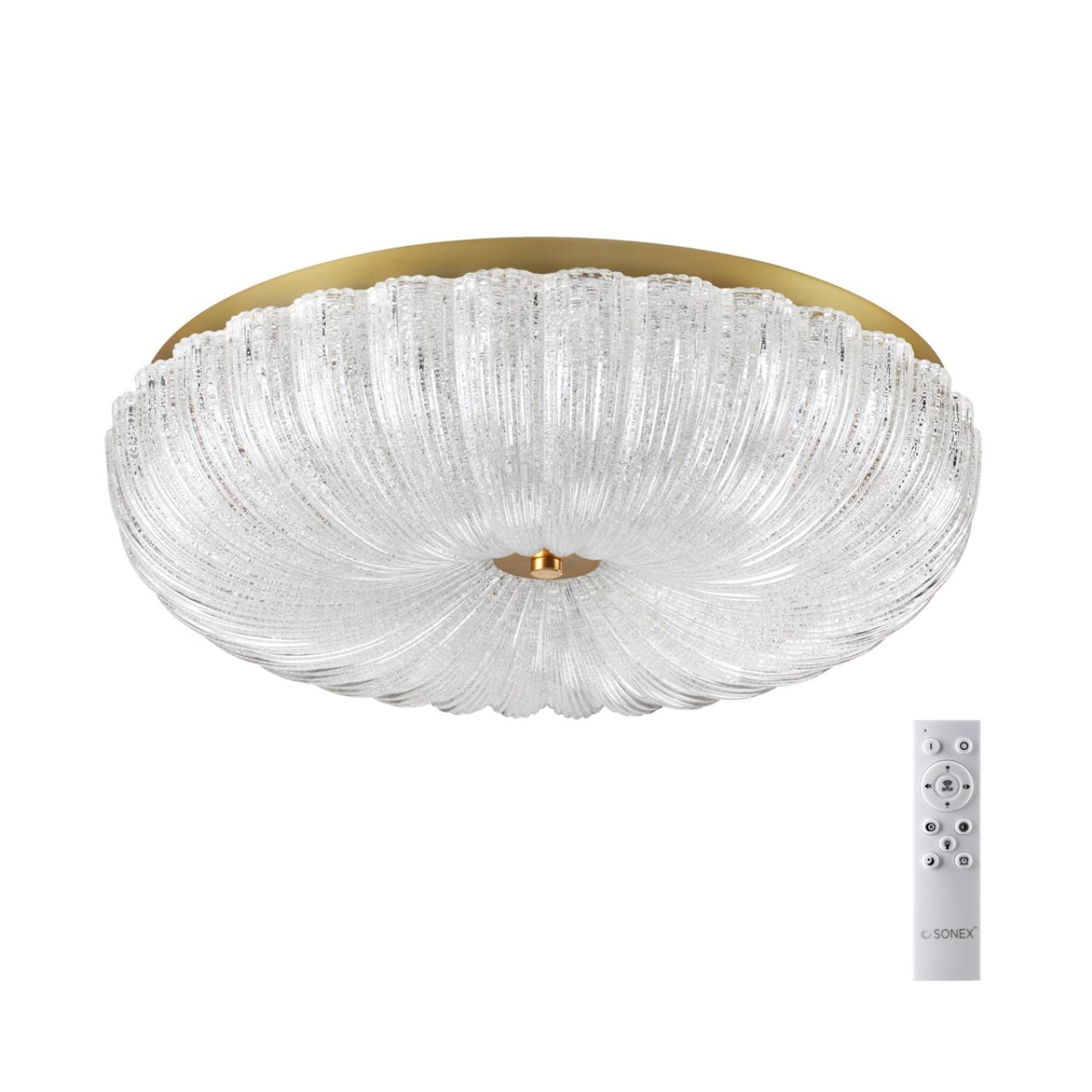 Потолочный светильник Sonex 7719/60L