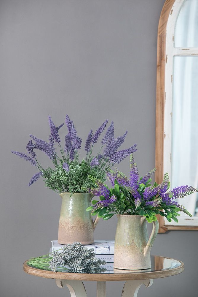 Растение декоративное Лаванда Glasar SA11653