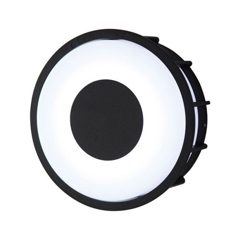 Настенно-потолочный светильник L'Arte Luce Telma L78056.31