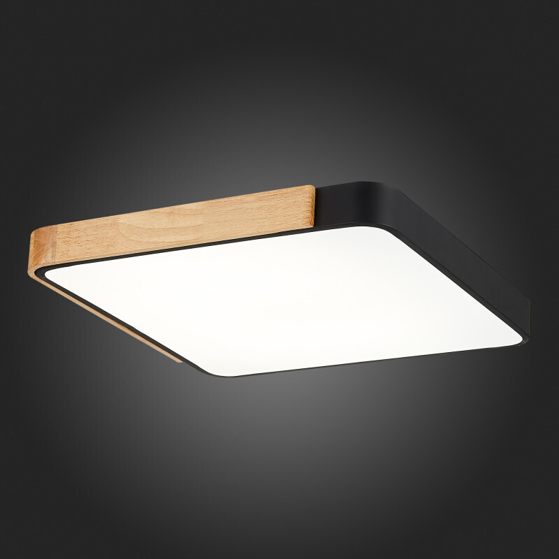 Накладной светильник Evoluce SLE201242-01