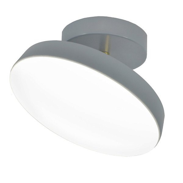 Накладной светильник Escada 20023SMA/01LED GR