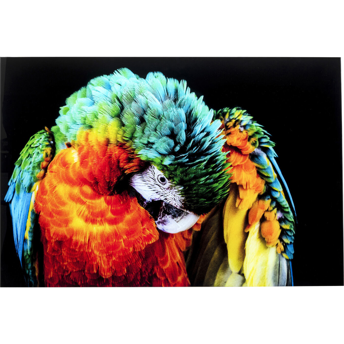 Картина Parrot 53089 Kare