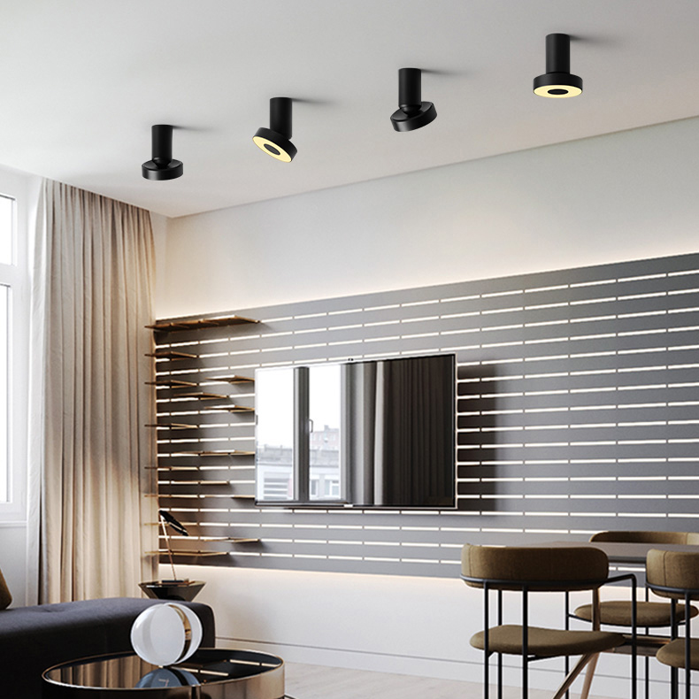 Потолочный точечный светильник STIR Silver by ImperiumLoft