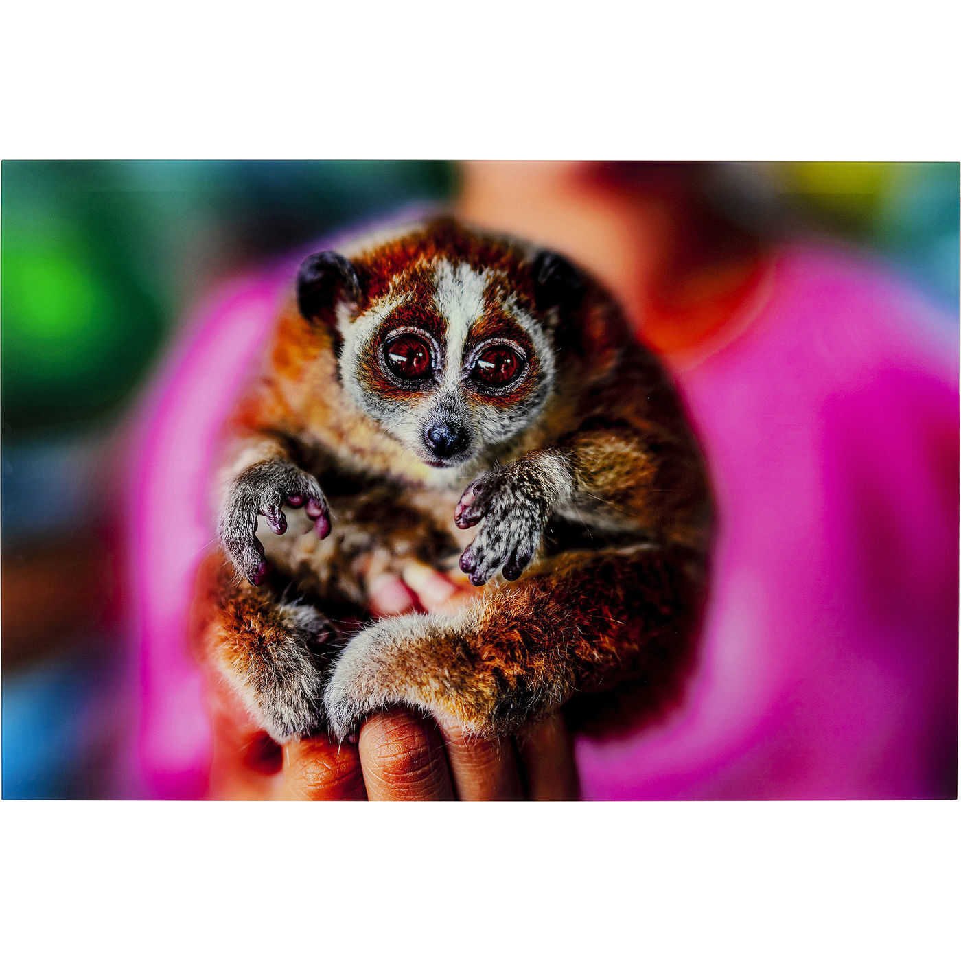 Картина Lemur 51810 KARE