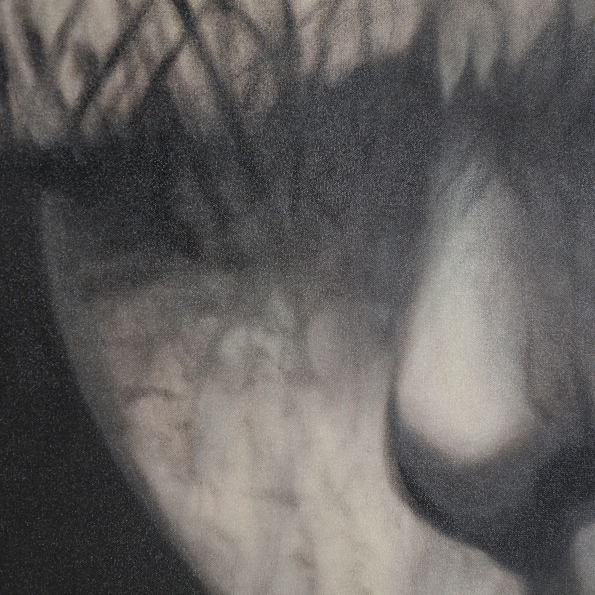 Картина на холсте 32905 Vical