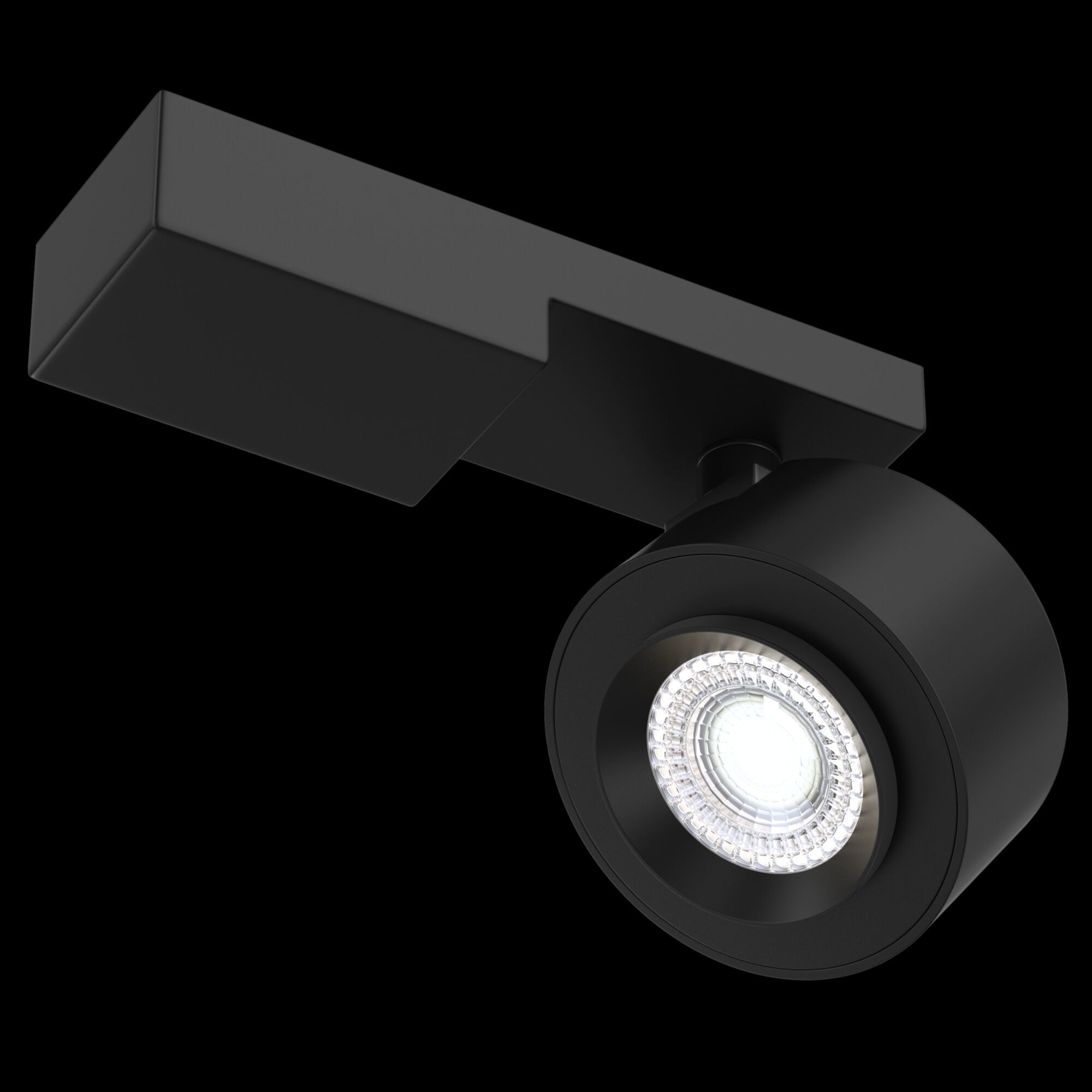 Потолочный светильник Maytoni C062CL-L12B4K