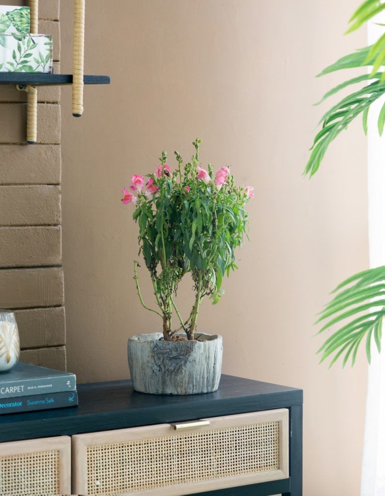 Кашпо Glasar SA60087