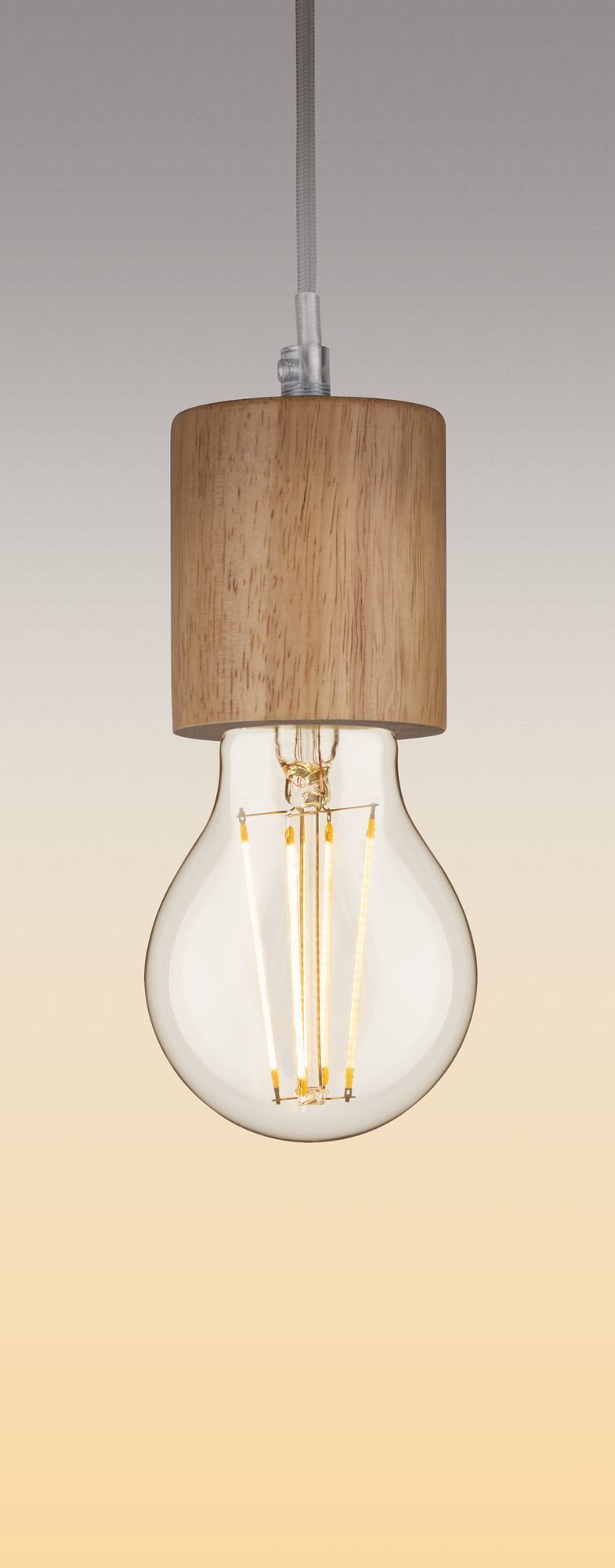 Светодиодная лампа Paulmann 28570