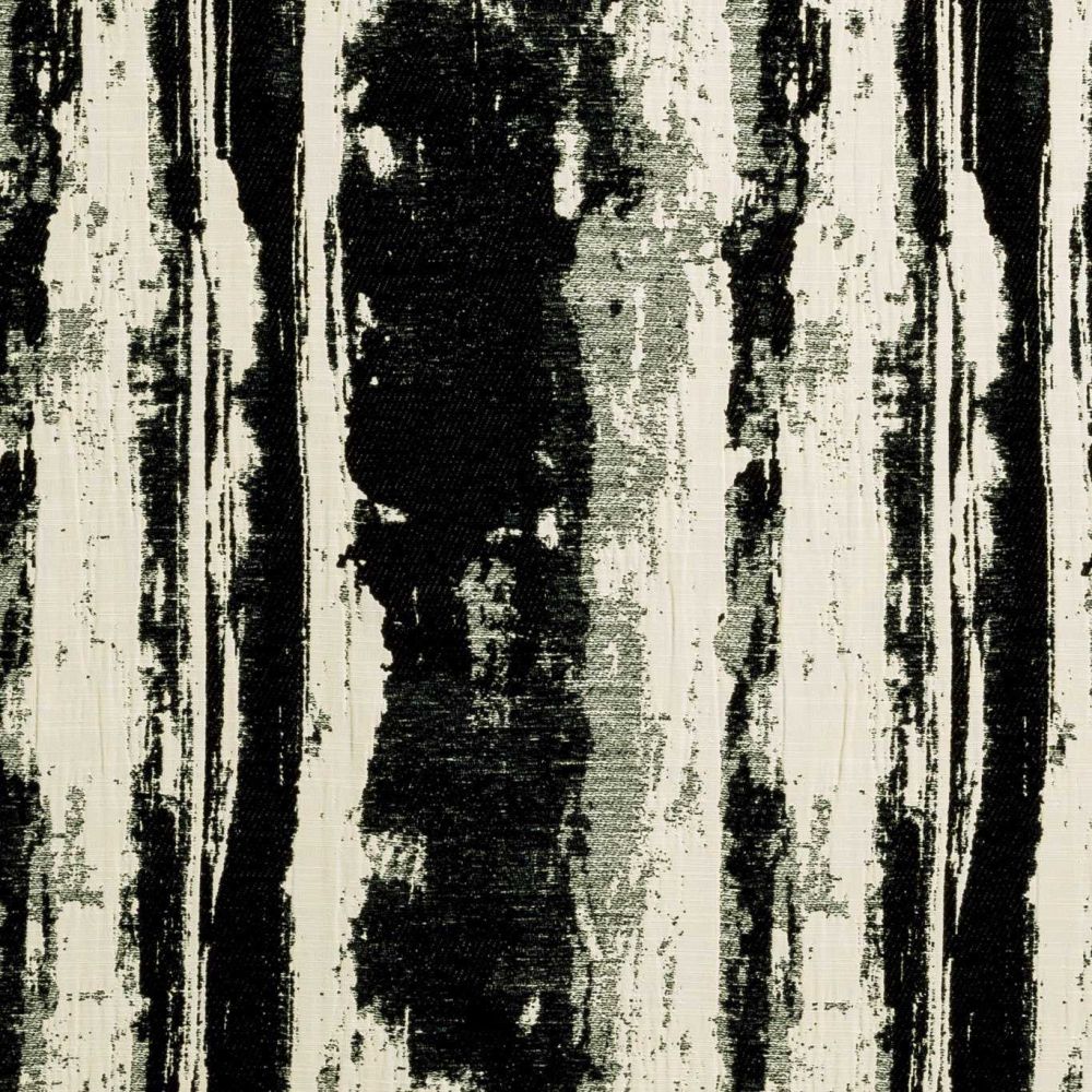 Текстиль Clarke & Clarke Black + White F0911/01