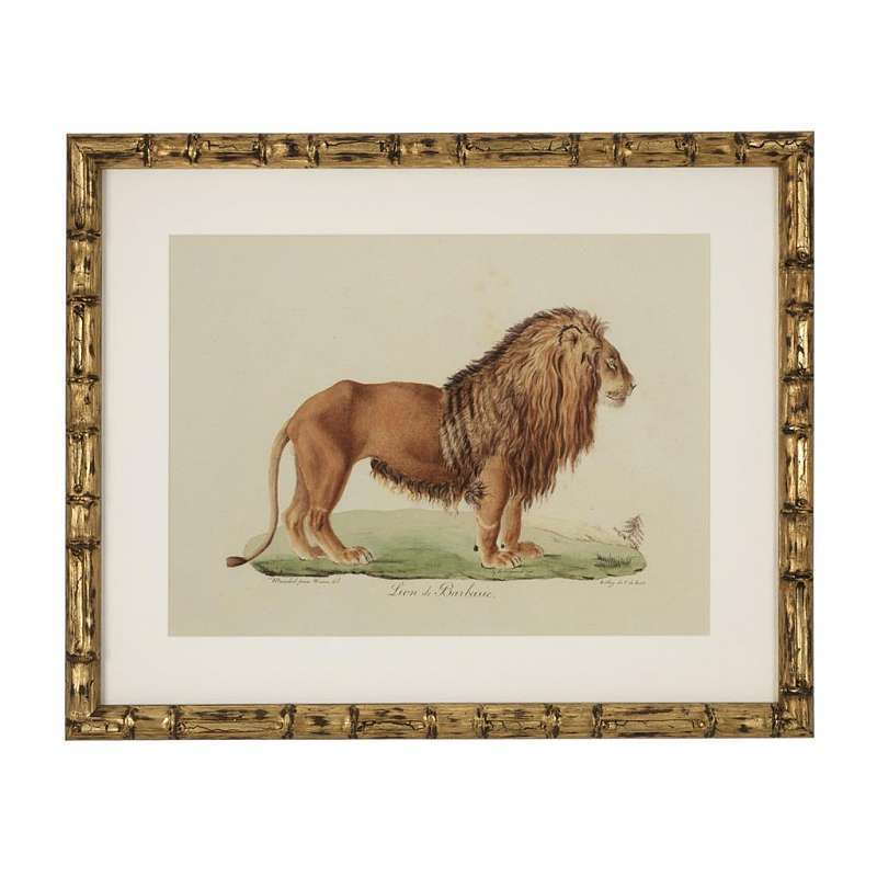 Постер Eichholtz Lion 111745