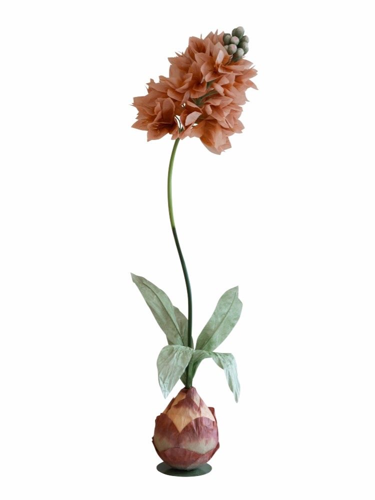 Растение декоративное Гиацинт Glasar F98606