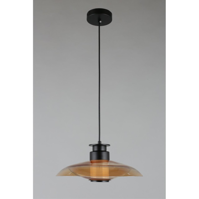 Подвесной светильник APLOYT APL.648.16.10