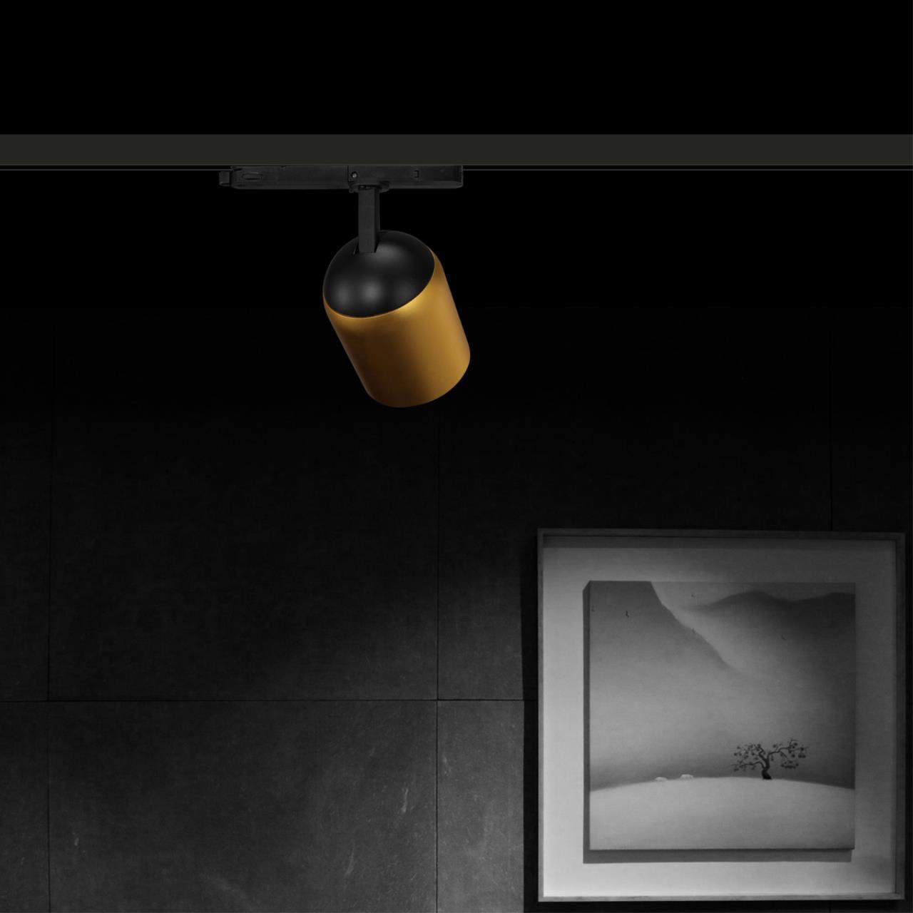 Однофазный трековый светодиодный светильник Novotech 358516