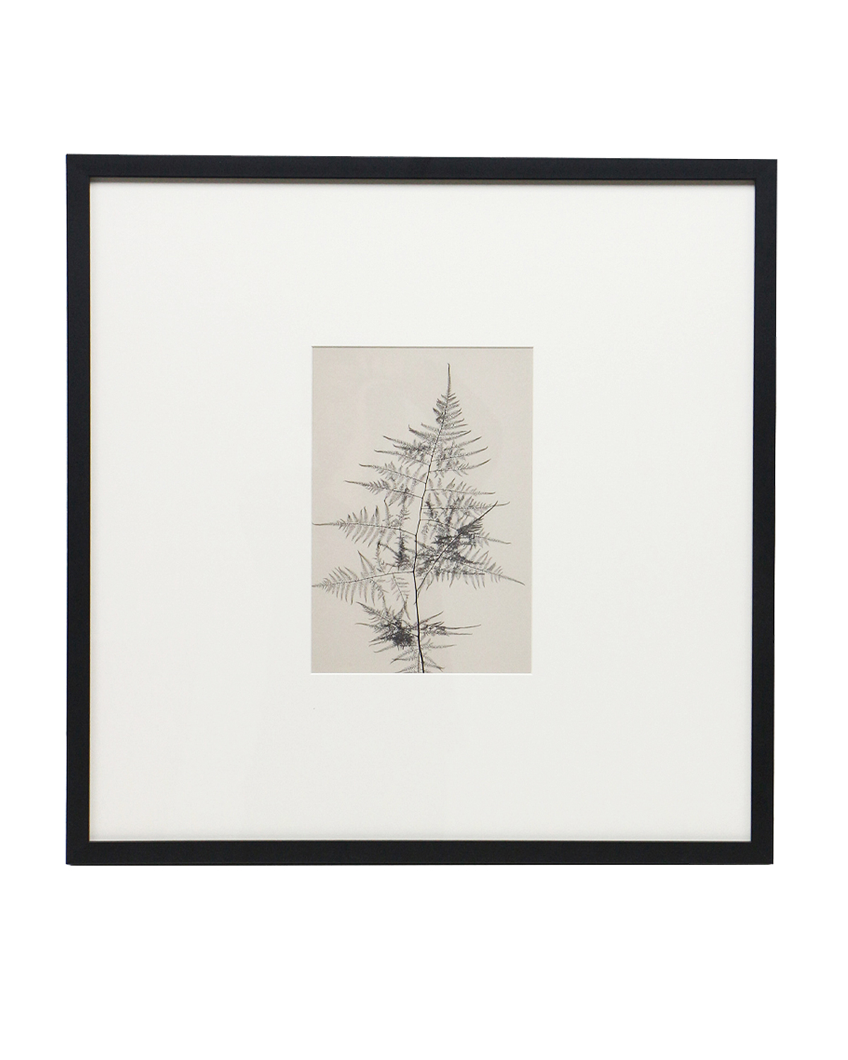 Интерьерный постер Floral - IV Louvre Home DPP250924VHS