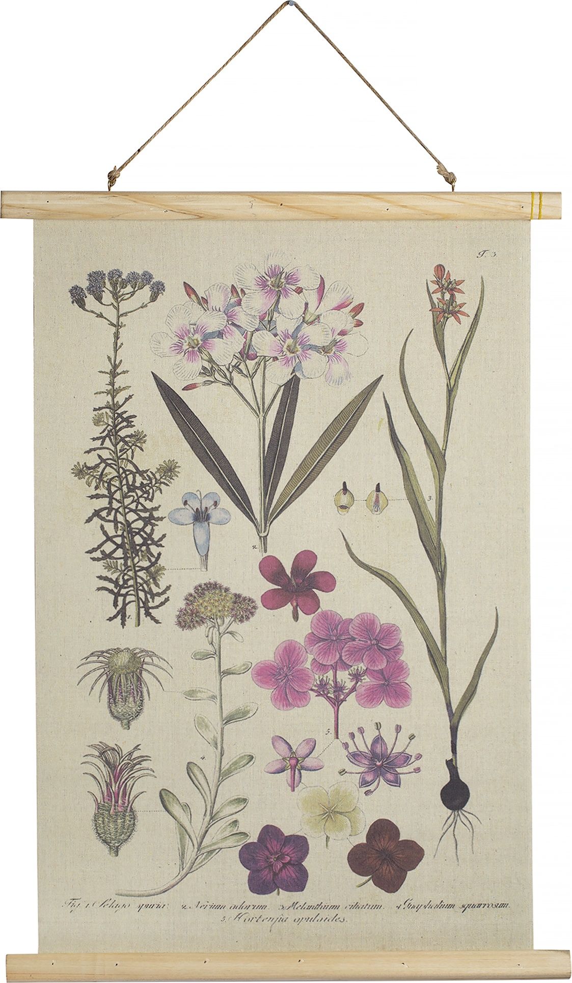 Картина подвесная "Флора" Glasar 49-267