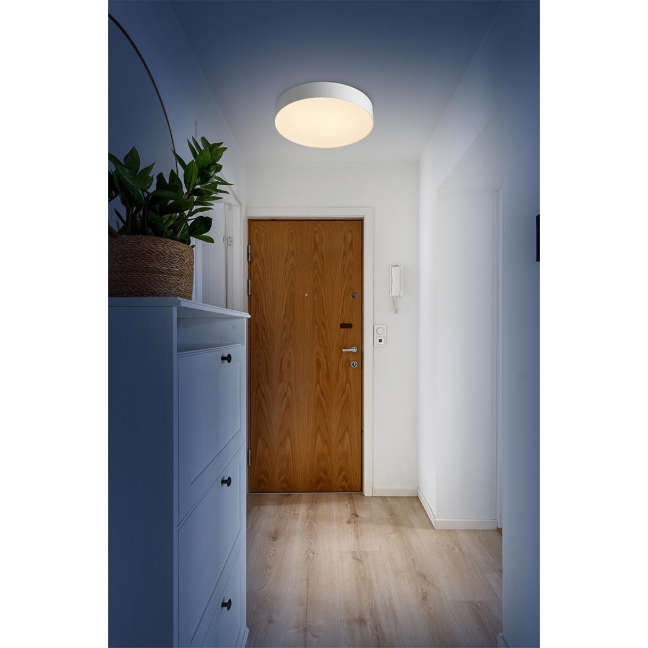 Настенно-потолочный светильник Sonex 7779/DL