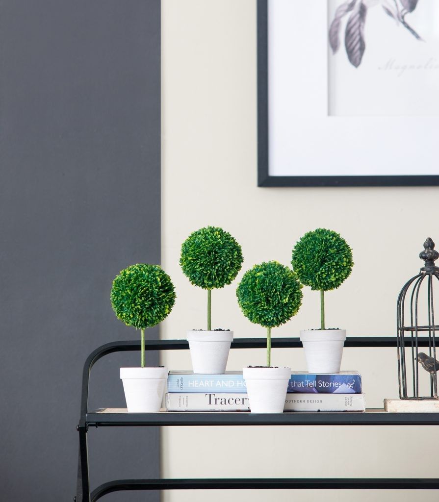 Растения декоративные Самшит, набор Glasar 29283