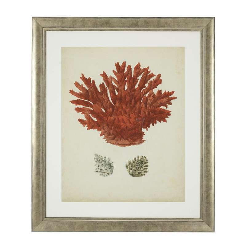 Постер Eichholtz Antique red corals 111741