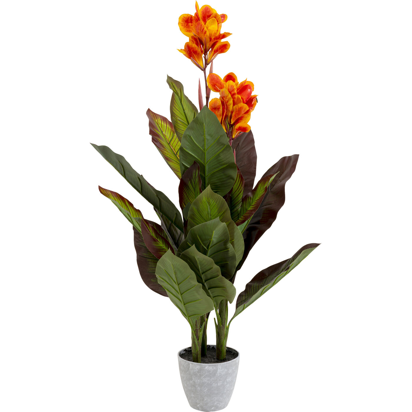 Растение декоративное Canna Lily 115cm KARE 58432