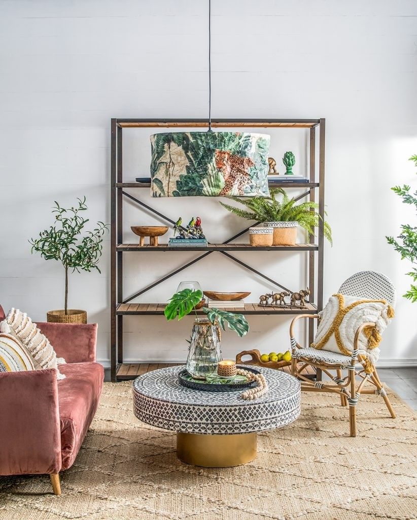 Растение декоративное Олива Glasar 420023-AB