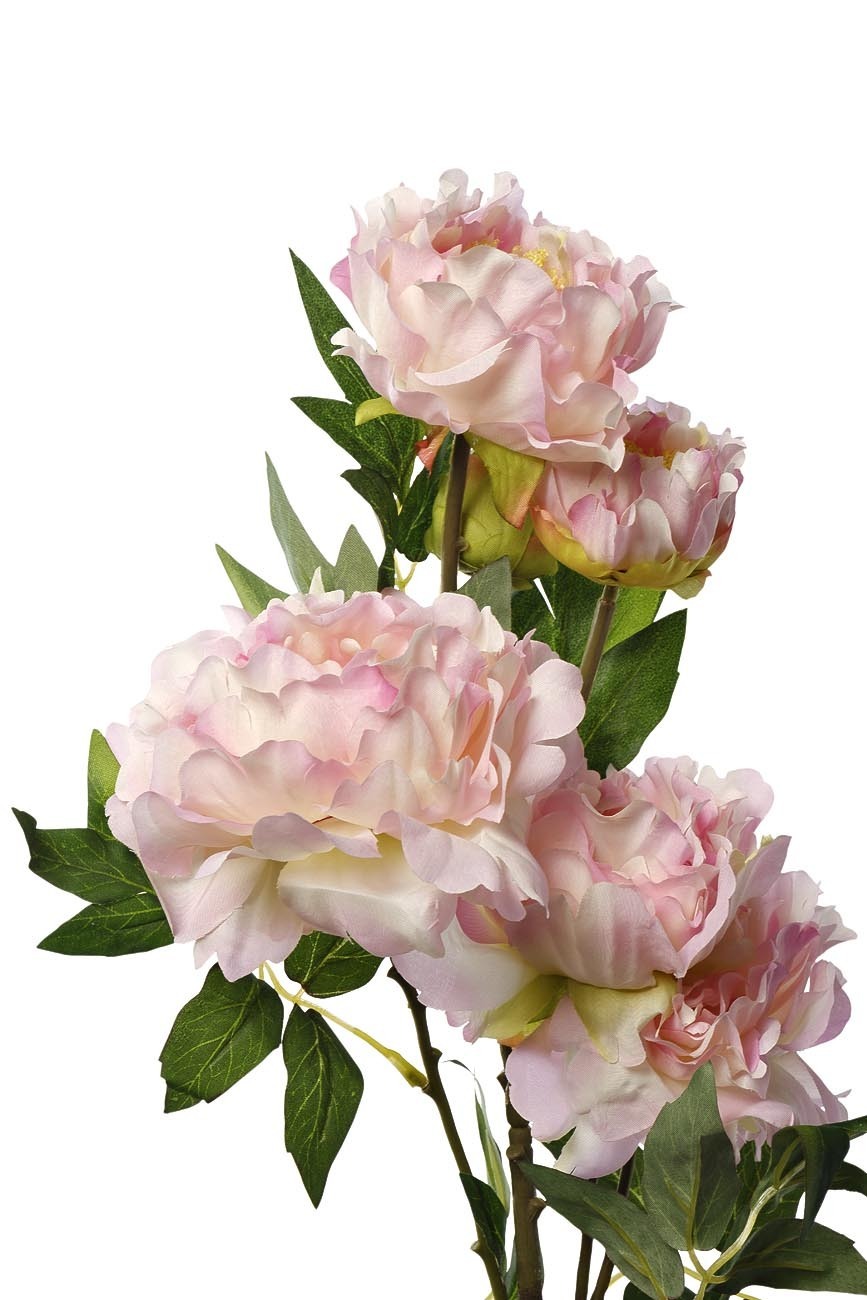 Пион кустовой розовый Garda Decor 9F28514-5240