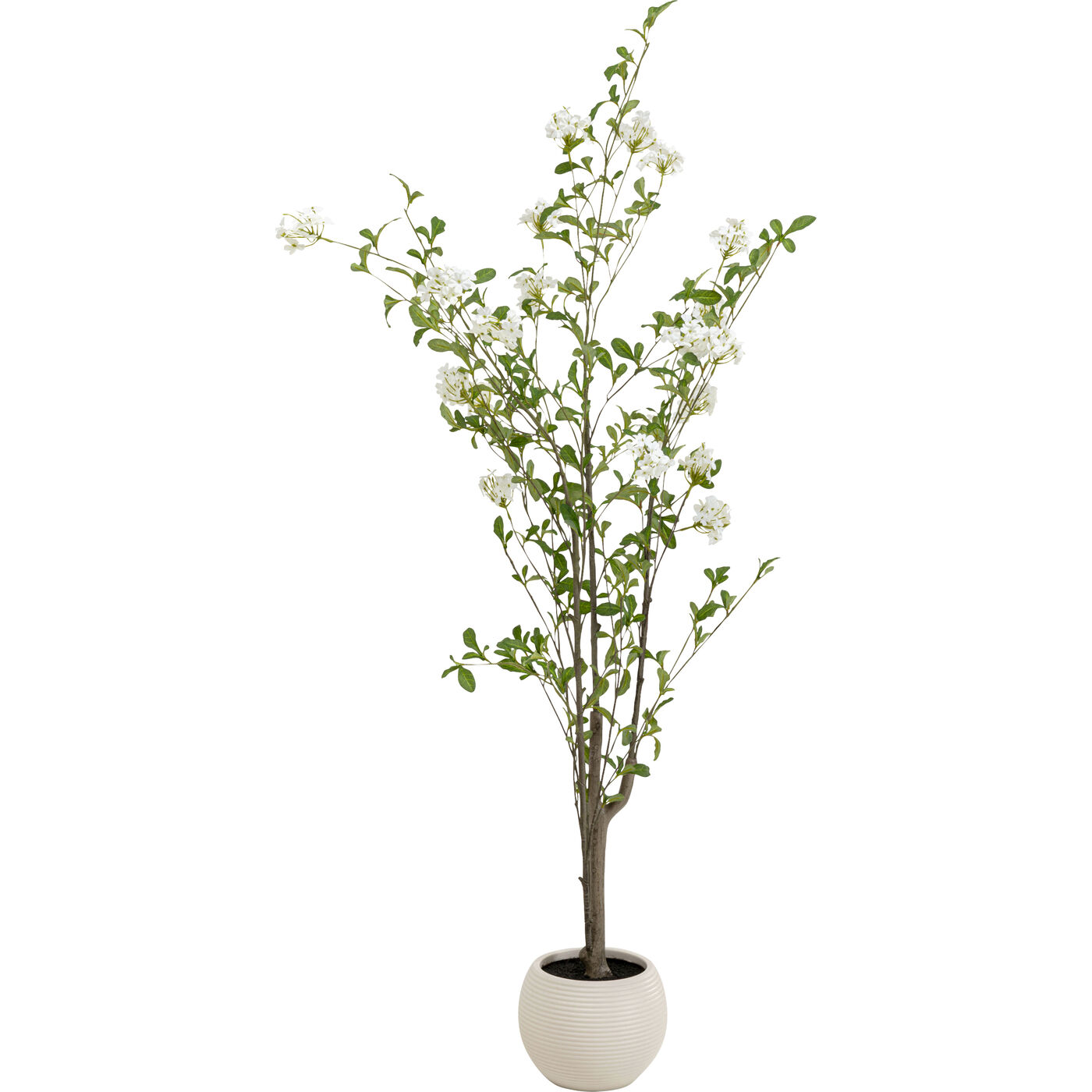 Растение декоративное PlumСумкаo Tree 152cm KARE 57947
