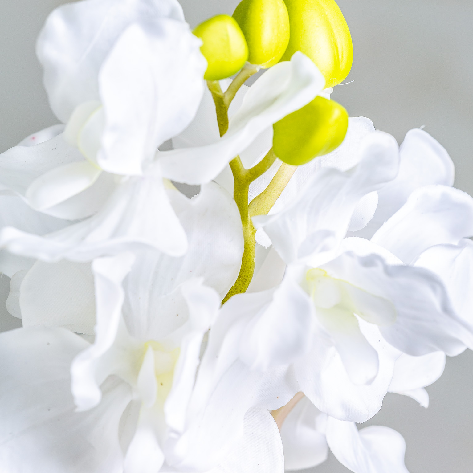 Апельсиновый цветок AZAHAR Vical