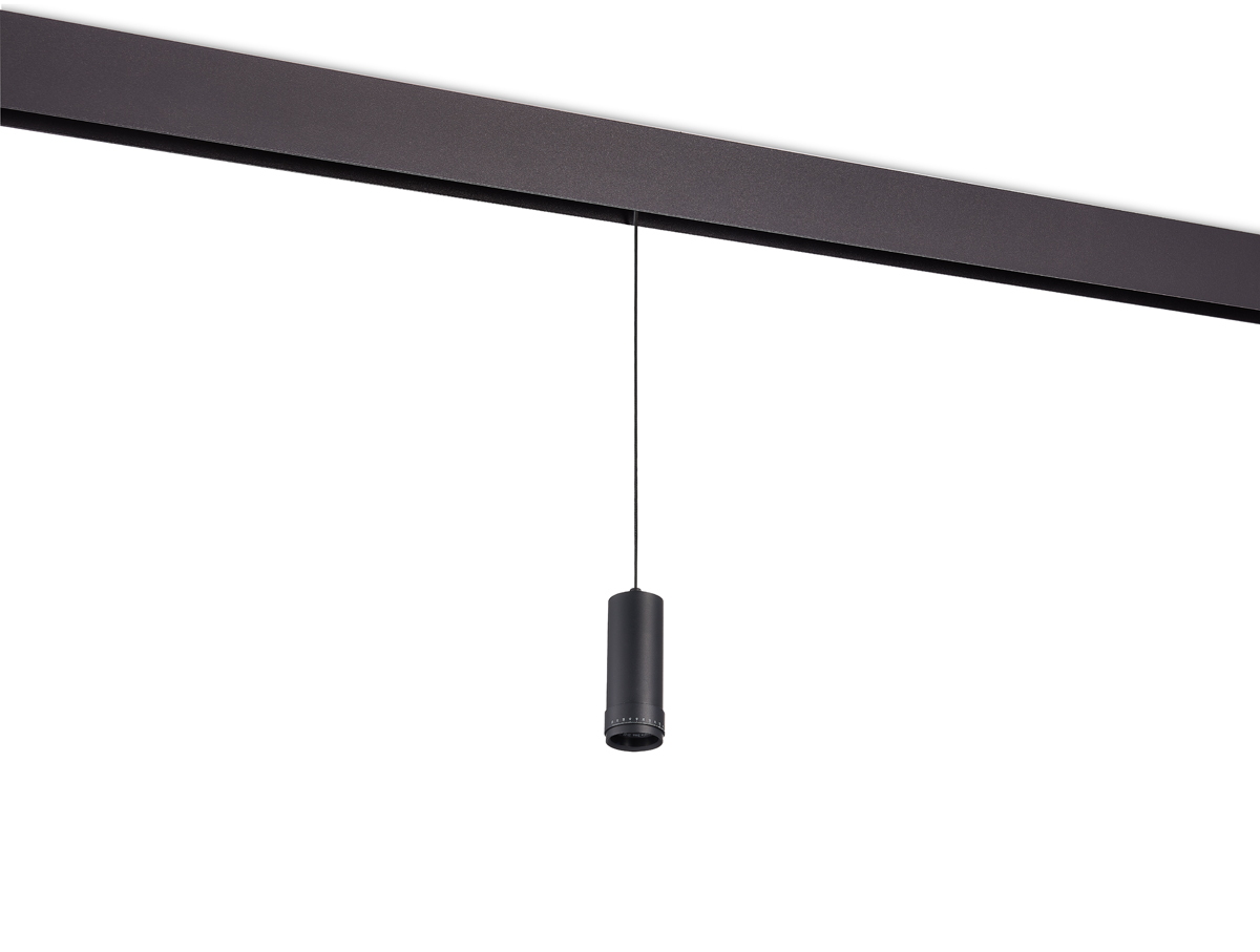 Светодиодный светильник Donolux DL20299WW10BS