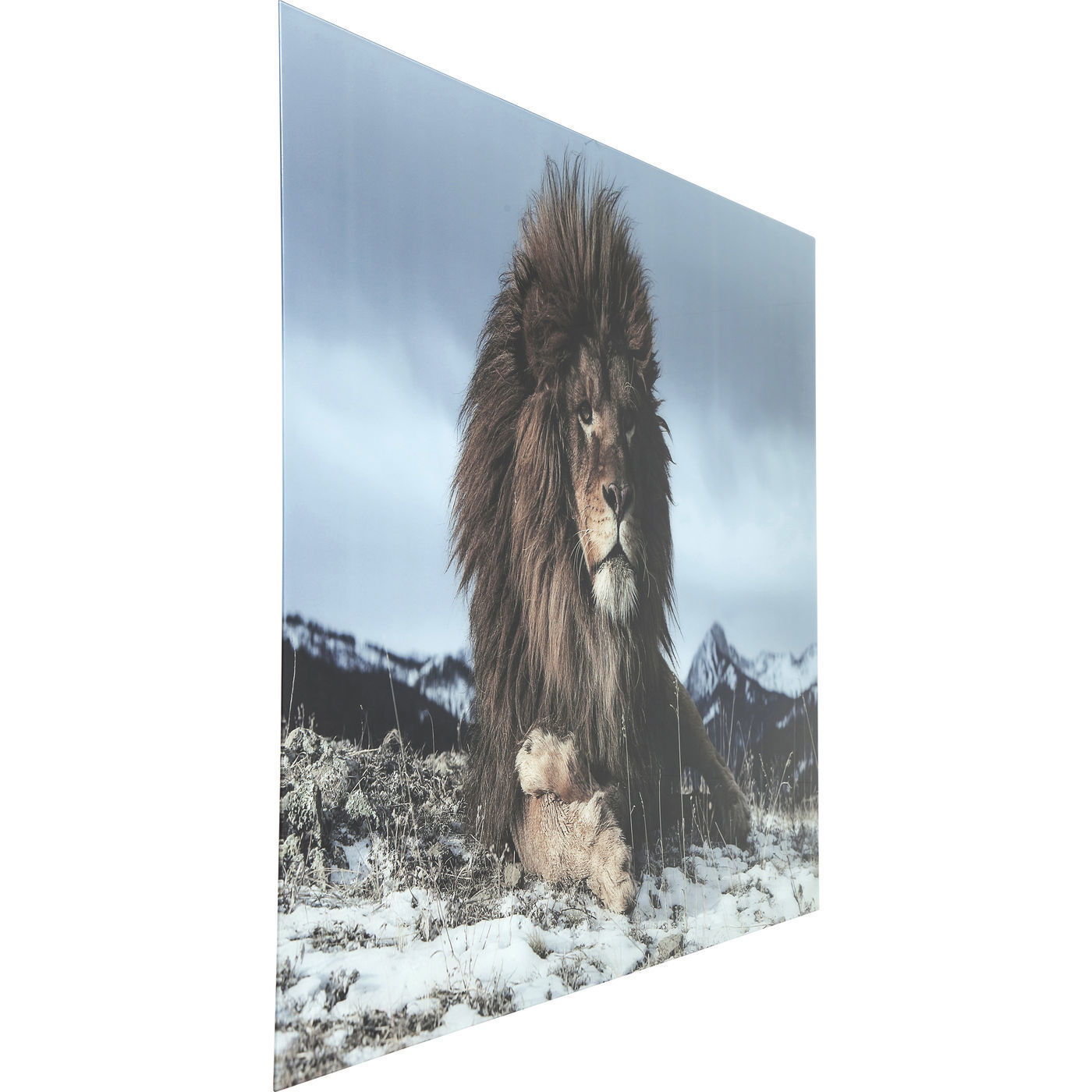 Картина Proud Lion 37291 KARE